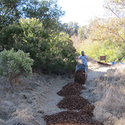Building a bark trail in the native grass meadow.