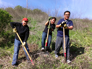Volunteers planting native shrubs at Hanns Park.
