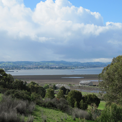 The view of Mare Island from the US Forest Service Regional Office.